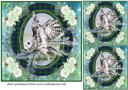 3 Tartan Winter bird card front/toppers 