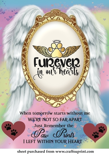 Furever pet loss topper