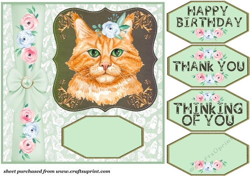 Floral cat card front 6