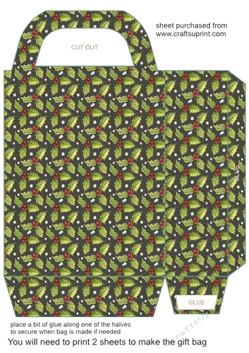 Holly gift bag 1