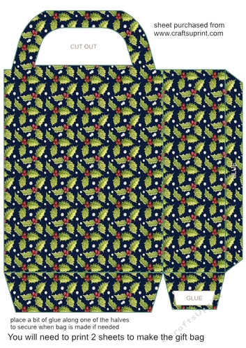 Holly gift bag 3
