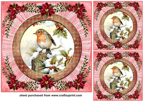 3 Red Christmas birds card front/toppers 4