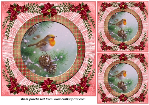 3 Red Christmas birds card front/toppers 6