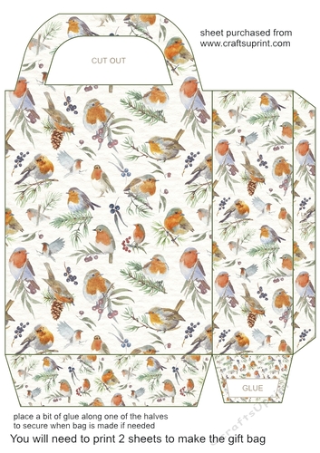 Christmas robins gift bag B