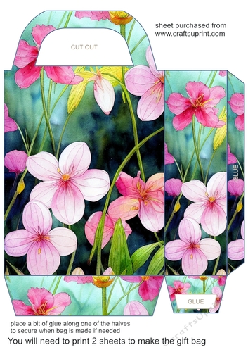 Blue and pink floral gift bag 1
