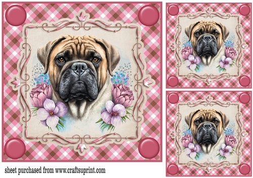 3 Pink floral dog card front/toppers 2