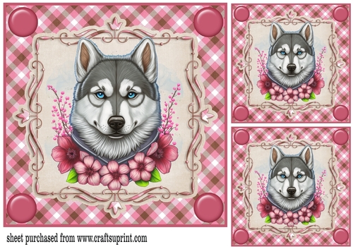 3 Pink floral dog card front/toppers 5