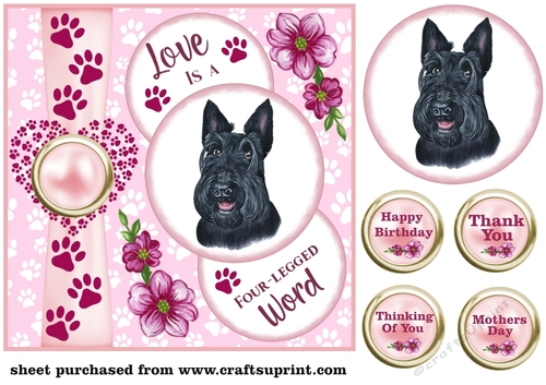 Pink Love is a four legged word card front 1