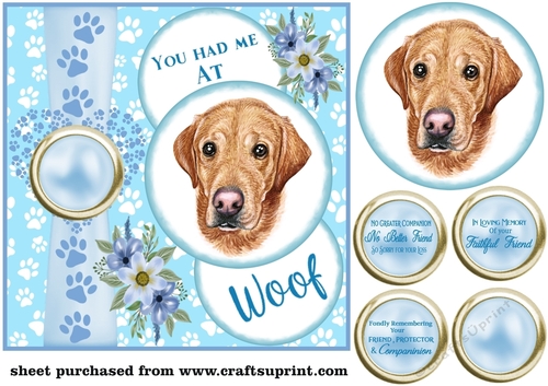 Blue you had me at woof Labrador sympathy card front 1