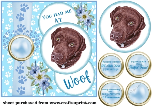 Blue you had me at woof Labrador sympathy card front 7