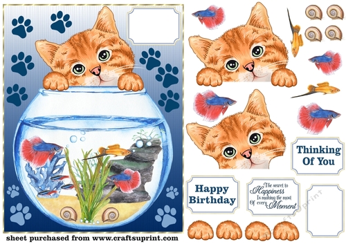 Cute cat with fish bowl card front