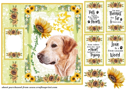 You are my sunshine Labrador card front 1