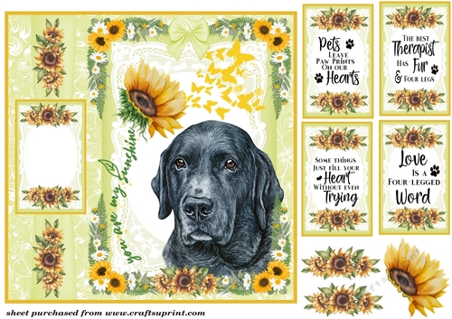 You are my sunshine Labrador card front 2
