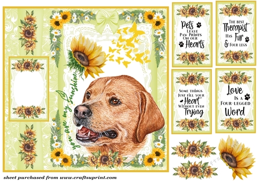 You are my sunshine Labrador card front 3