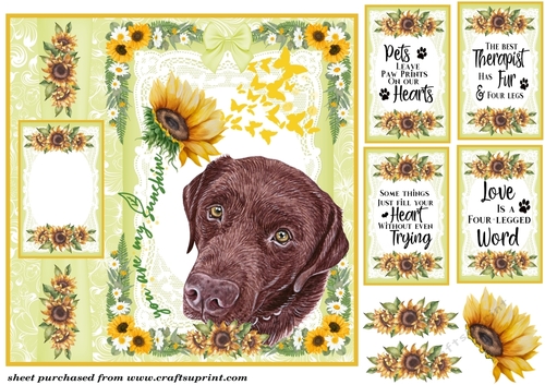 You are my sunshine Labrador card front 4
