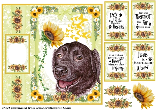 You are my sunshine Labrador card front 5