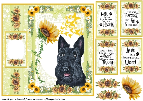 Scottish dogs you are my sunshine card front 1