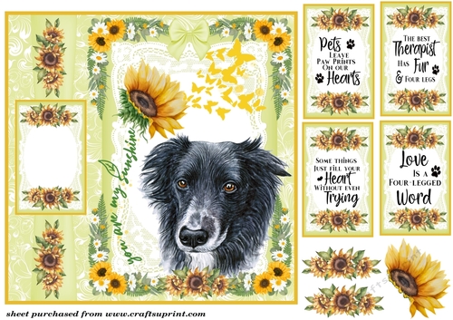 Scottish dogs you are my sunshine card front 2