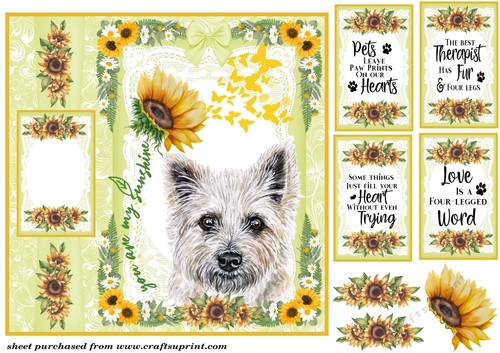 Scottish dogs you are my sunshine card front 3