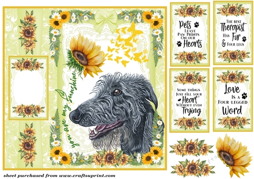 Scottish dogs you are my sunshine card front 4