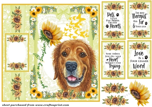 Scottish dogs you are my sunshine card front 5