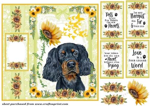 Scottish dogs you are my sunshine card front 6