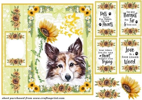 Scottish dogs you are my sunshine card front 7