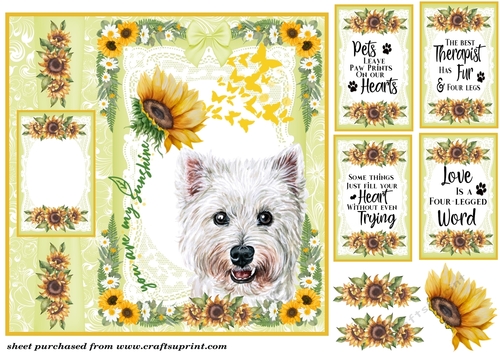 Scottish dogs you are my sunshine card front 8