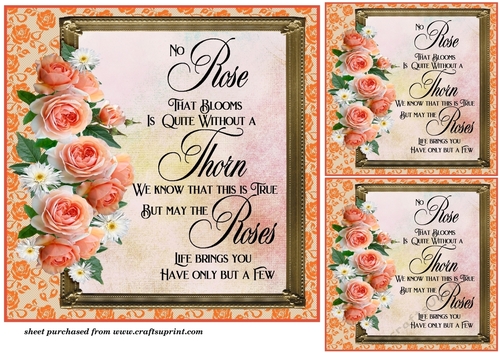 3 Peach rose card front/toppers with verse 3
