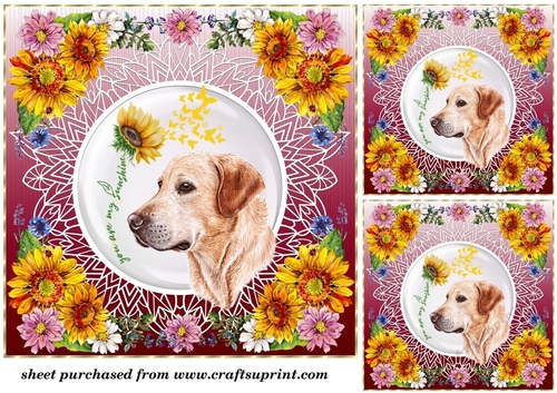3 You are my sunshine Labrador card front/toppers