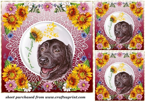 3 You are my sunshine Labrador card front/toppers 2