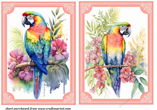 2 Its all about the birds card fronts/toppers 1