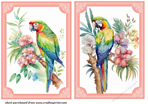 2 Its all about the birds card fronts/toppers 2