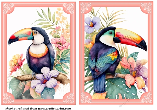2 Its all about the birds card fronts/toppers 3