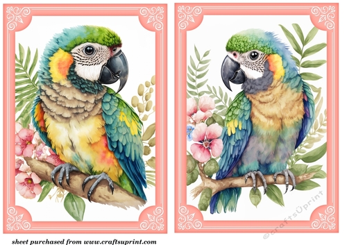 2 Its all about the birds card fronts/toppers 5