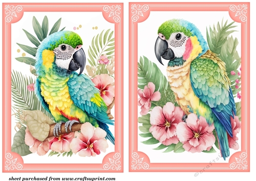 2 Its all about the birds card fronts/toppers 6