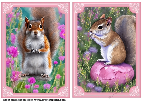 2 All about the squirrels card front/toppers 1