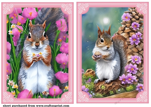 2 All about the squirrels card front/toppers 3