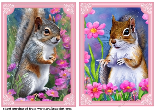 2 All about the squirrels card front/toppers 4