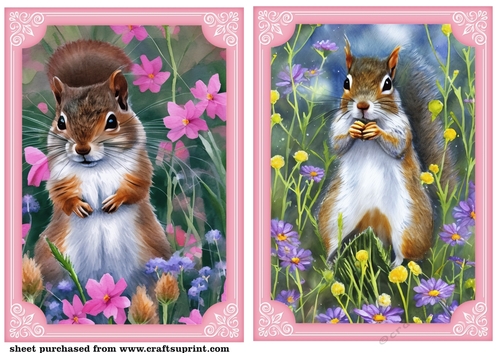 2 All about the squirrels card front/toppers 7