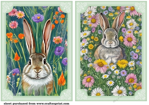 2 All about the rabbits card front/toppers 5