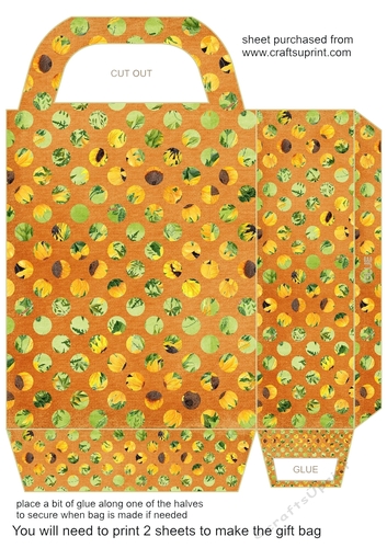 Honey and bee gift bag 4