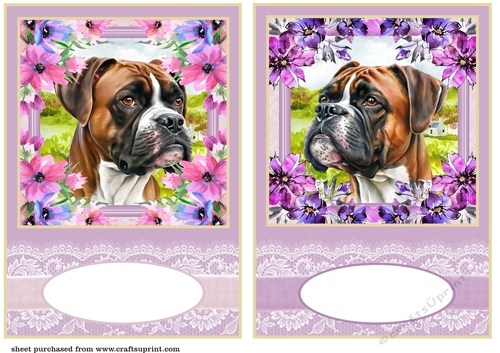 2 Floral Boxer card fronts/toppers 1