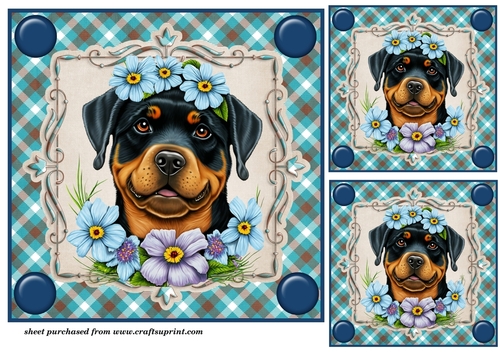3 Blue floral pup card fronts/toppers 1