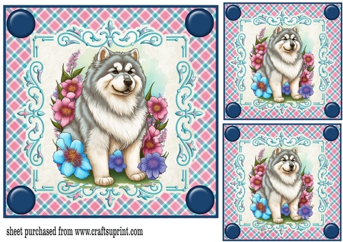 3 Pink and blue floral pup card fronts/toppers 2