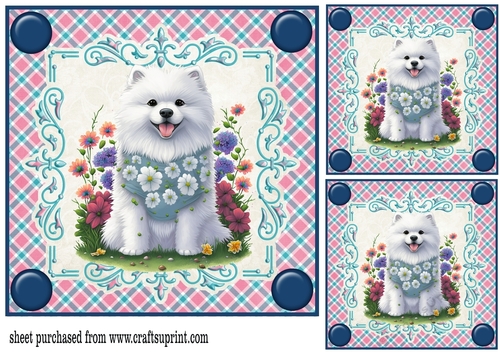 3 Pink and blue floral pup card fronts/toppers 3