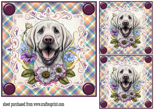 3 Purple floral pup card fronts/toppers 1