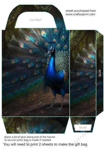 All about the peacock gift bag 1