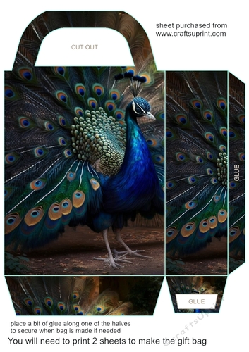 All about the peacock gift bag 2