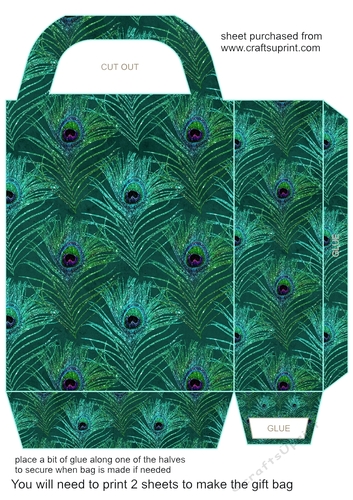 All about the peacock gift bag 4